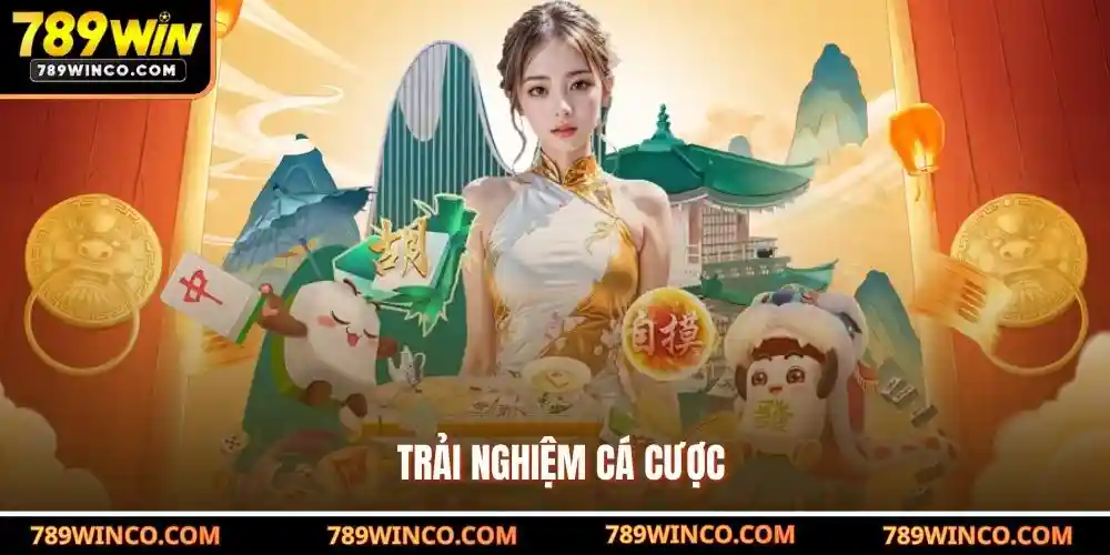 Trải nghiệm cá cược